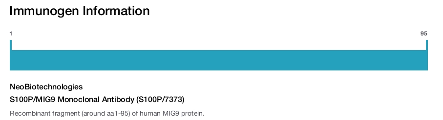 S100P/MIG9 Monoclonal Antibody (S100P/7373)