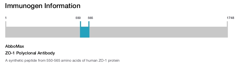 ZO-1 Polyclonal Antibody