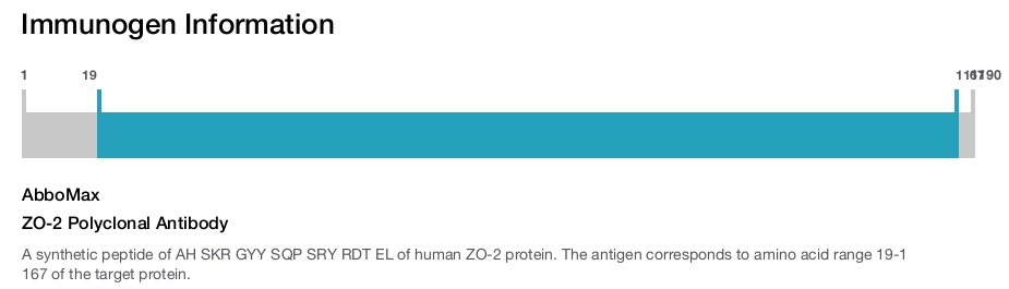 ZO-2 Polyclonal Antibody