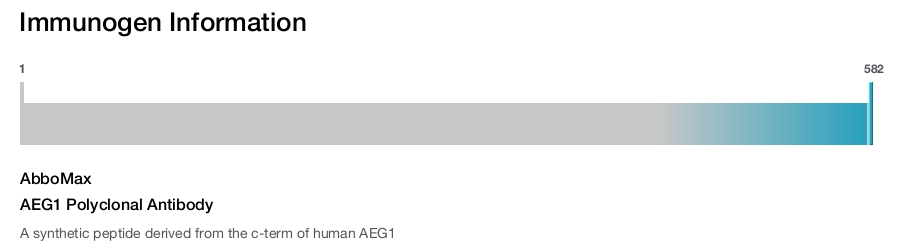 AEG1 Polyclonal Antibody