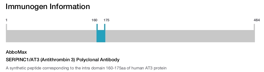 SERPINC1/AT3 (Antithrombin 3) Polyclonal Antibody