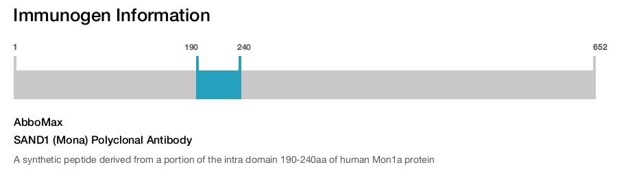 SAND1 (Mona) Polyclonal Antibody