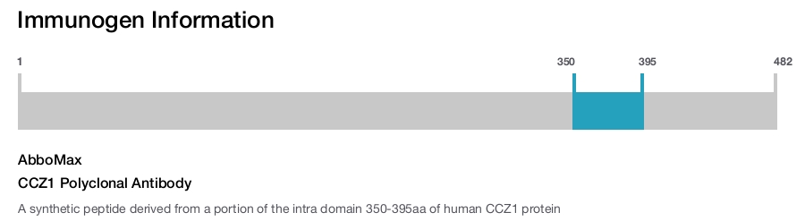 CCZ1 Polyclonal Antibody