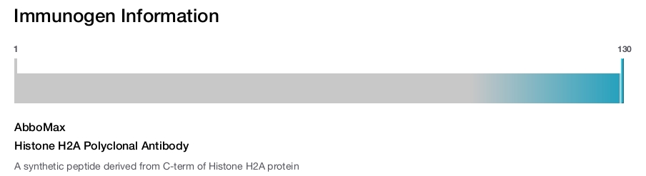 Histone H2A Polyclonal Antibody