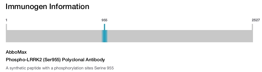 Phospho-LRRK2 (Ser955) Polyclonal Antibody