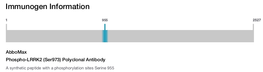 Phospho-LRRK2 (Ser973) Polyclonal Antibody