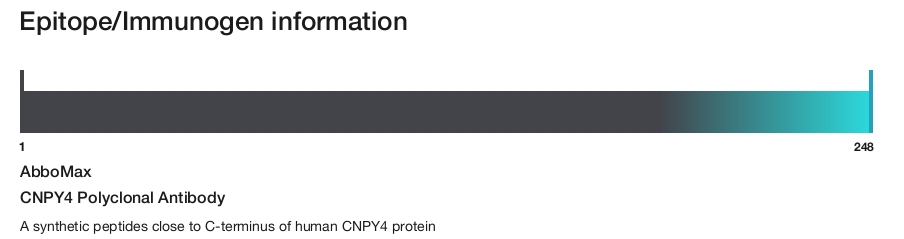 CNPY4 Polyclonal Antibody
