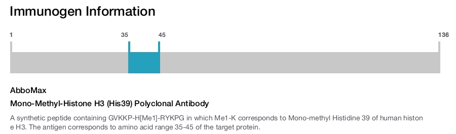 Mono-Methyl-Histone H3 (His39) Polyclonal Antibody