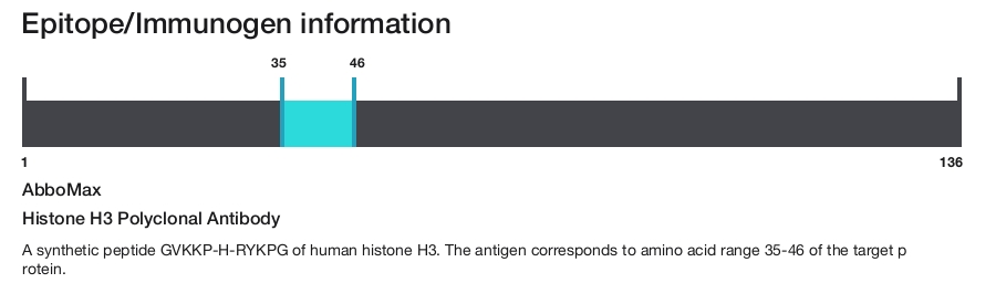 Histone H3 Polyclonal Antibody