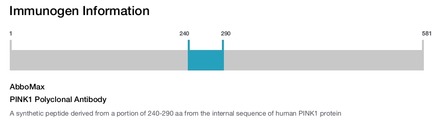 PINK1 Polyclonal Antibody