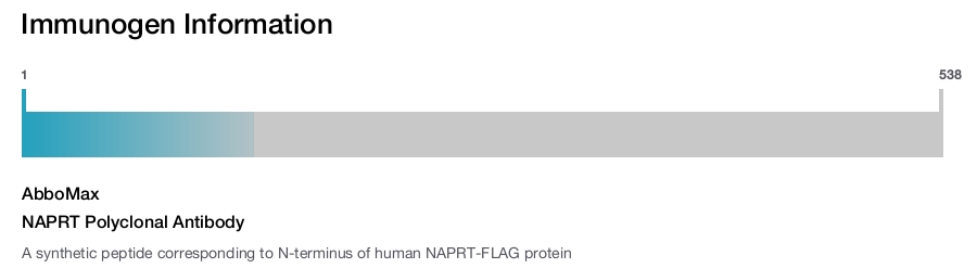 NAPRT Polyclonal Antibody