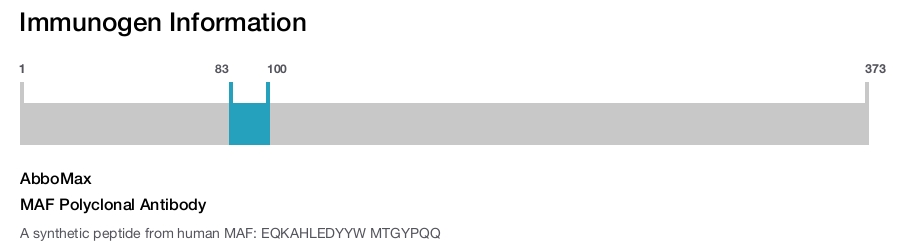 MAF Polyclonal Antibody