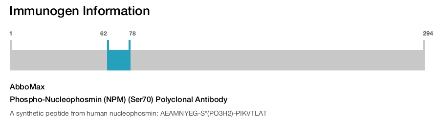 Phospho-Nucleophosmin (NPM) (Ser70) Polyclonal Antibody