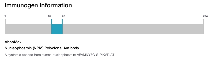 Nucleophosmin (NPM) Polyclonal Antibody