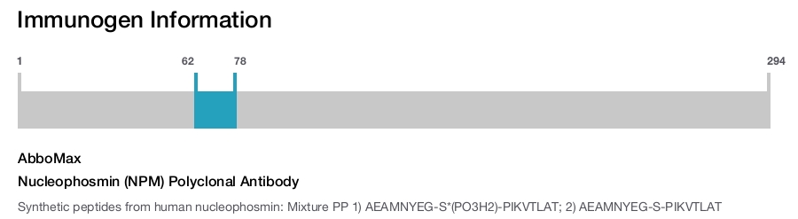 Nucleophosmin (NPM) Polyclonal Antibody