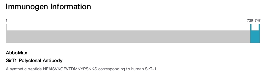 SirT1 Polyclonal Antibody