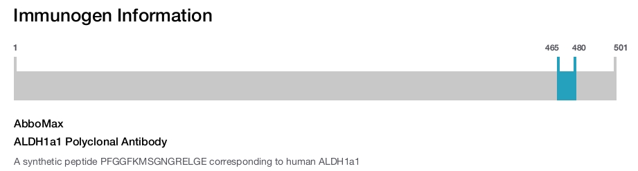ALDH1a1 Polyclonal Antibody