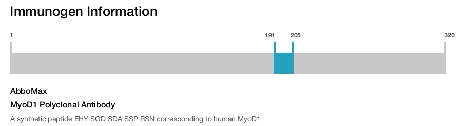 MyoD1 Polyclonal Antibody