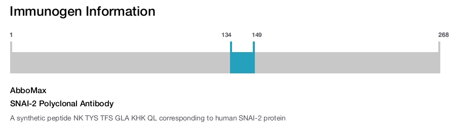 SNAI-2 Polyclonal Antibody
