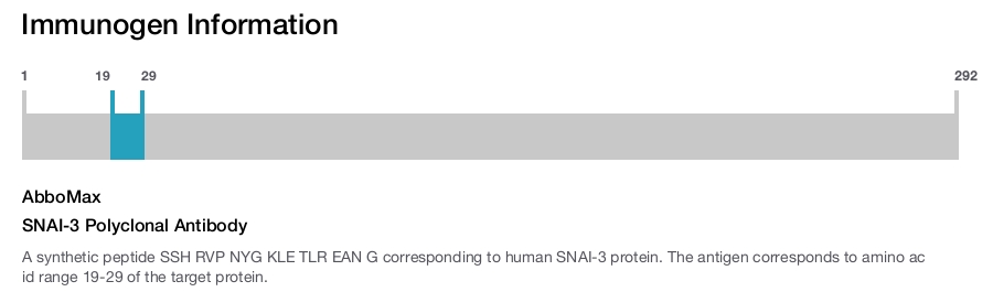 SNAI-3 Polyclonal Antibody