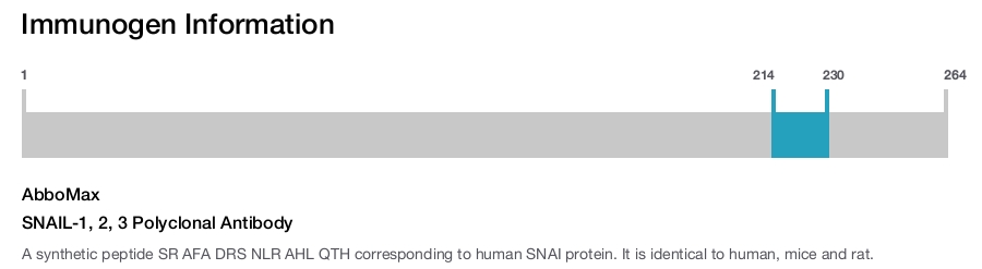 SNAIL-1, 2, 3 Polyclonal Antibody