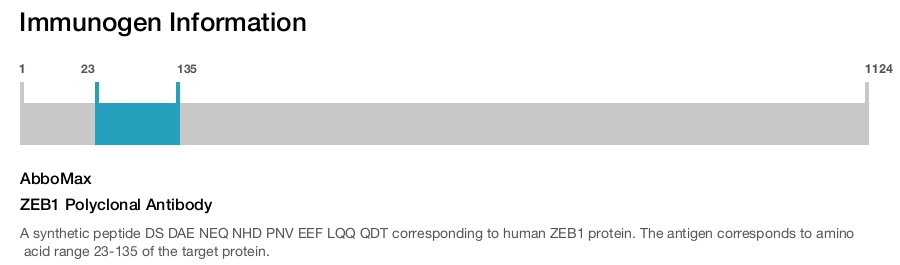ZEB1 Polyclonal Antibody