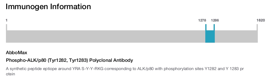 Phospho-ALK/p80 (Tyr1282, Tyr1283) Polyclonal Antibody