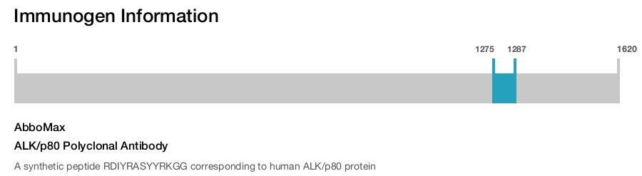 ALK/p80 Polyclonal Antibody