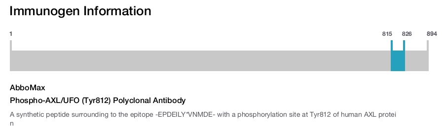 Phospho-AXL/UFO (Tyr812) Polyclonal Antibody