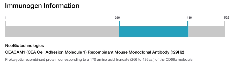 CEACAM1 (CEA Cell Adhesion Molecule 1) Recombinant Mouse Monoclonal Antibody (r29H2)