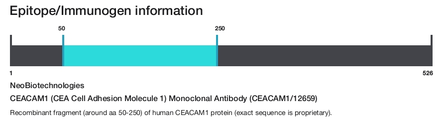 CEACAM1 (CEA Cell Adhesion Molecule 1) Monoclonal Antibody (CEACAM1/12659)