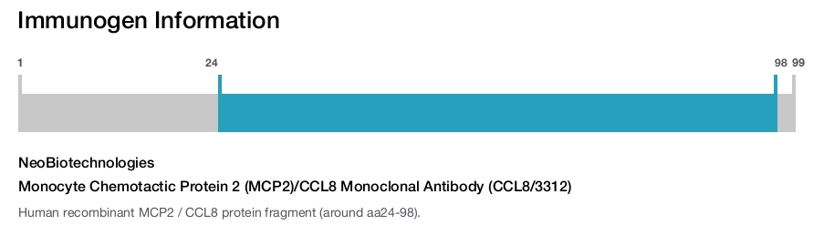 Monocyte Chemotactic Protein 2 (MCP2)/CCL8 Monoclonal Antibody (CCL8/3312)