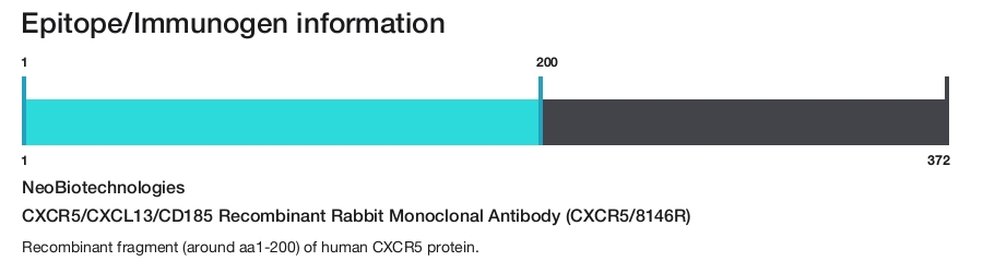 CXCR5/CXCL13/CD185 Recombinant Rabbit Monoclonal Antibody (CXCR5/8146R)