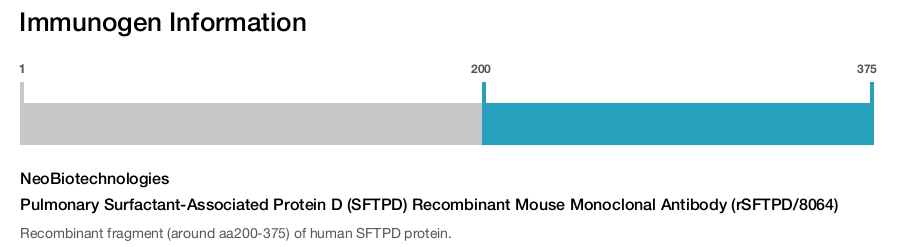 Pulmonary Surfactant-Associated Protein D (SFTPD) Recombinant Mouse Monoclonal Antibody (rSFTPD/8064)