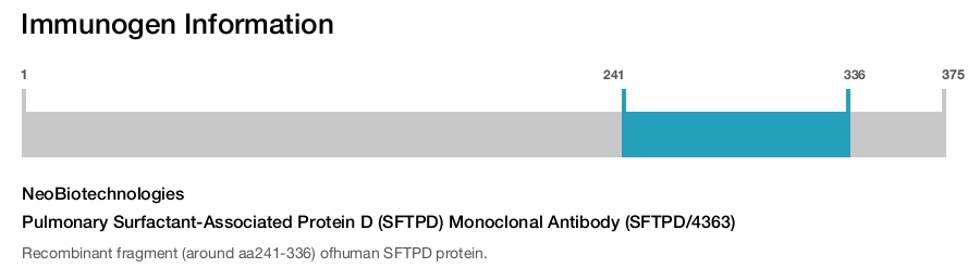 Pulmonary Surfactant-Associated Protein D (SFTPD) Monoclonal Antibody (SFTPD/4363)