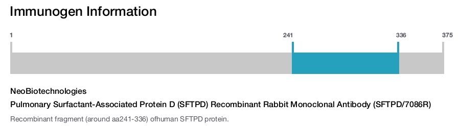 Pulmonary Surfactant-Associated Protein D (SFTPD) Recombinant Rabbit Monoclonal Antibody (SFTPD/7086R)