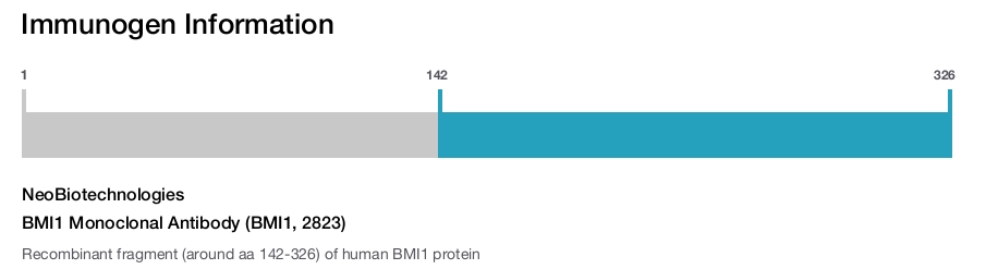 BMI1 Monoclonal Antibody (BMI1, 2823)