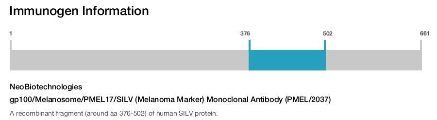 gp100/Melanosome/PMEL17/SILV (Melanoma Marker) Monoclonal Antibody (PMEL/2037)