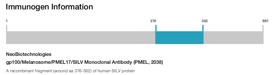gp100/Melanosome/PMEL17/SILV Monoclonal Antibody (PMEL, 2038)