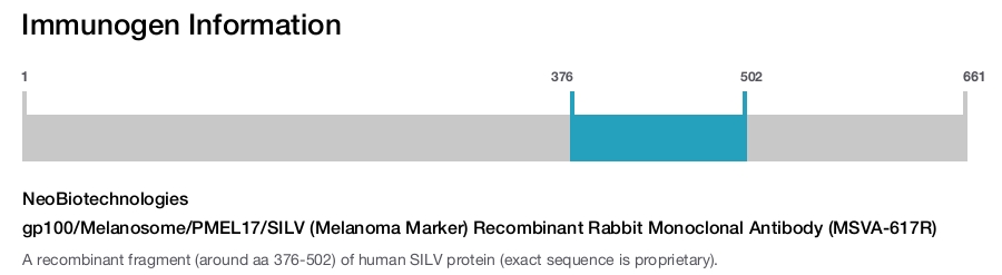 gp100/Melanosome/PMEL17/SILV (Melanoma Marker) Recombinant Rabbit Monoclonal Antibody (MSVA-617R)