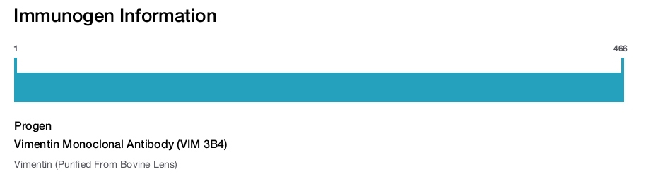 Vimentin Monoclonal Antibody (VIM 3B4)
