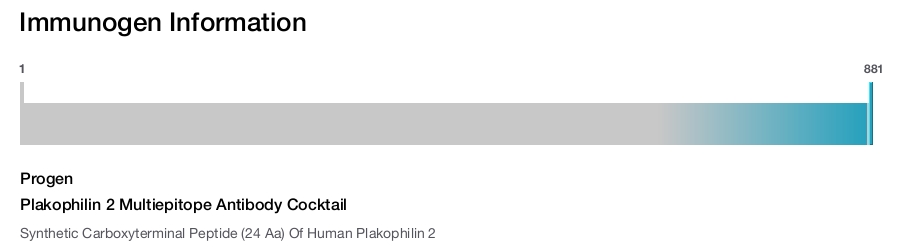 Plakophilin 2 Multiepitope Antibody Cocktail