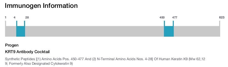 KRT9 Antibody Cocktail
