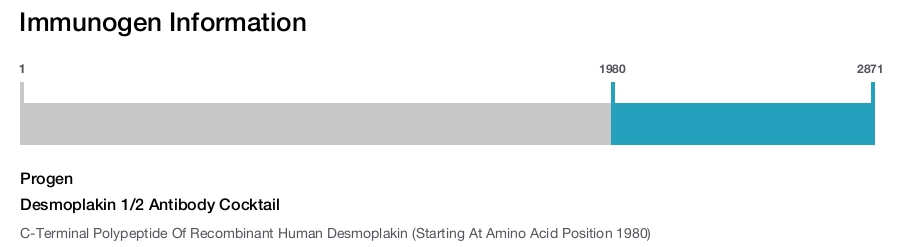 Desmoplakin 1/2 Antibody Cocktail