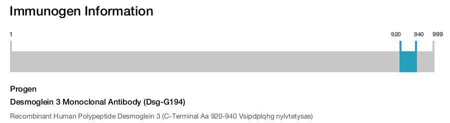 Desmoglein 3 Monoclonal Antibody (Dsg-G194)