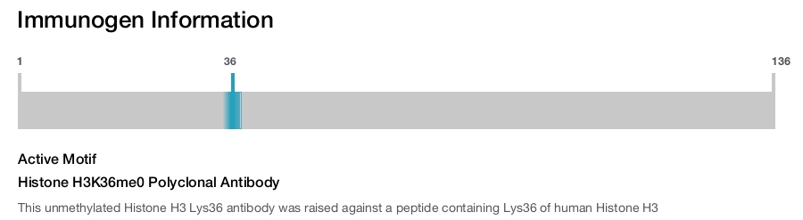 Histone H3K36me0 Polyclonal Antibody