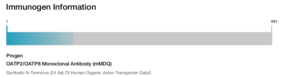 OATP2/OATP8 Monoclonal Antibody (mMDQ)