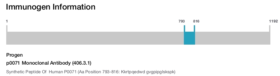 p0071 Monoclonal Antibody (406.3.1)