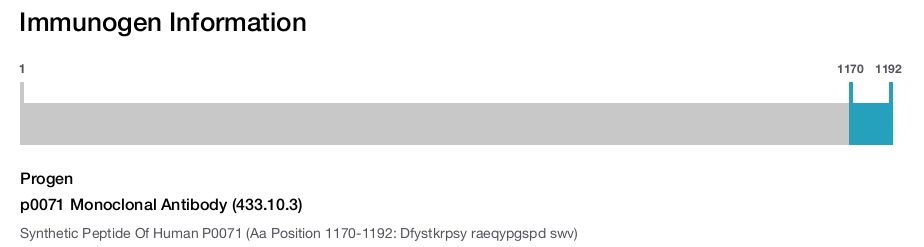 p0071 Monoclonal Antibody (433.10.3)