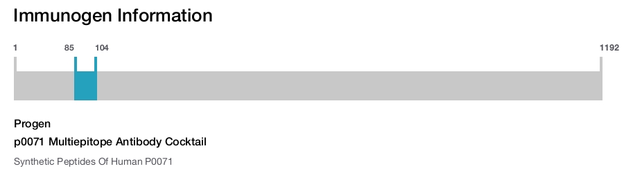 p0071 Multiepitope Antibody Cocktail